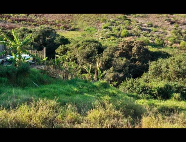 LAND FOR SALE IN DANA BAY